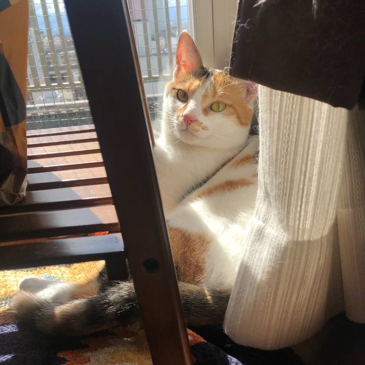 561ed8de 3792 4195 95da dc853f20836e 1599369497908