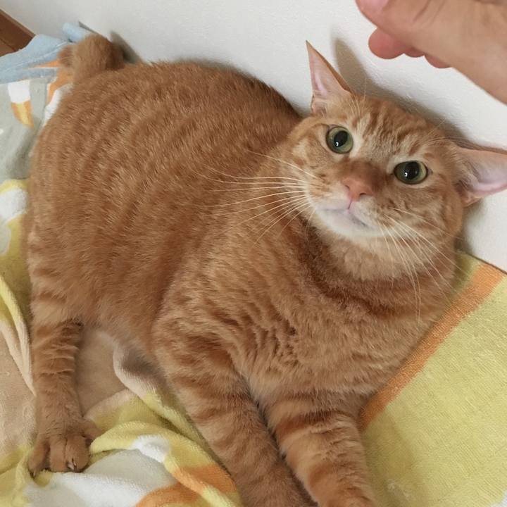 561f9053 b8b2 443c a849 a17607fa82c1 1536447630764