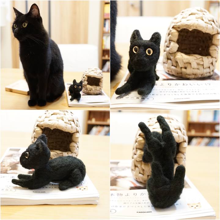 561fbeab a7a2 4cfd 920f 73cfc42d940e 1563197425714