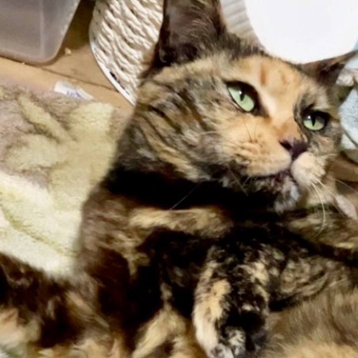 561fc6b7 d3ae 42bf bc2e 1f59d6bf6411 1739993614416