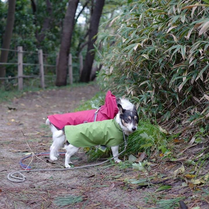 561fd80d 85d2 4f34 803f 39b6224eb962 1509340015352