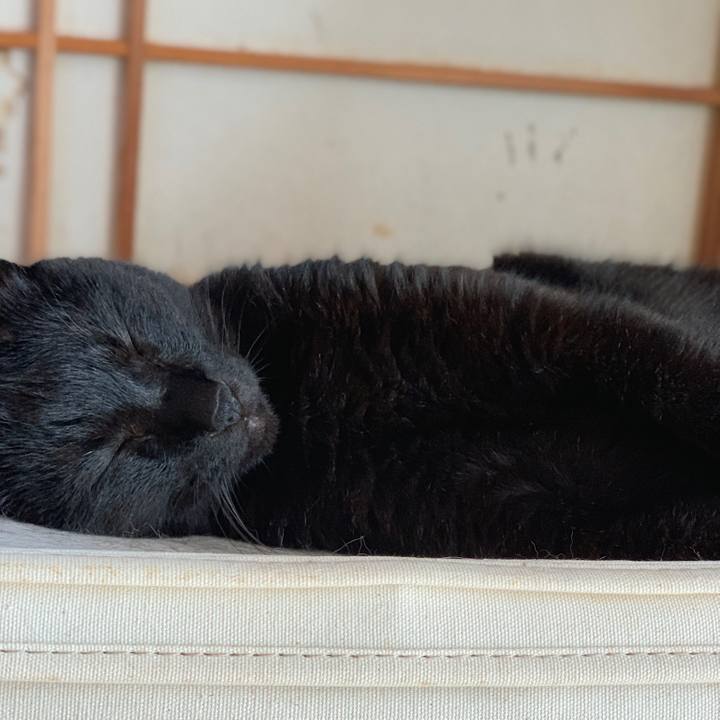 561ffac9 1e0f 4adc ae03 9b4320d08c44 1565137780512