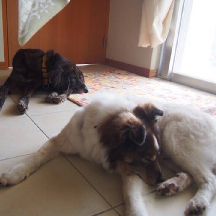 56201705 3129 4218 beda 67f64acc4a4e 1604109817354