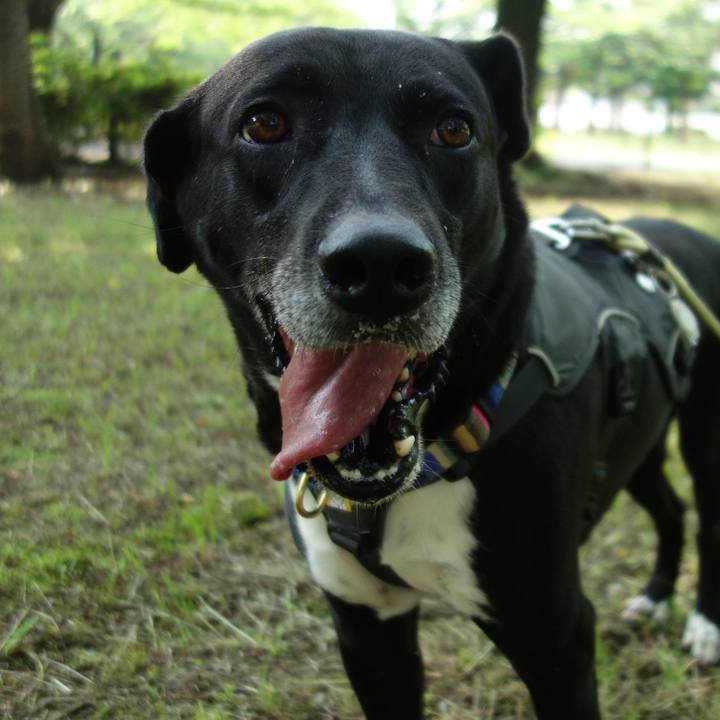 56206adc ce0a 4f75 bdb1 be0a81aeaf9b 1653006337385