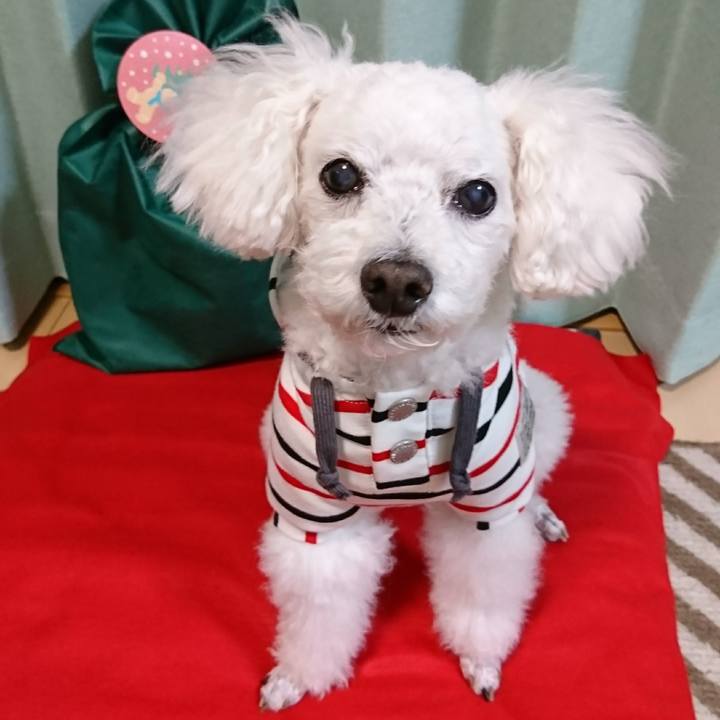 5620a22e f69e 4f78 872a c9e775ba9a12 1574066748907