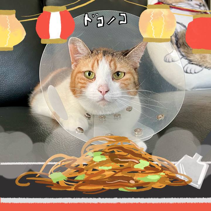 5620ab04 28ee 4953 9274 6085d0ea84ca 1755148499258