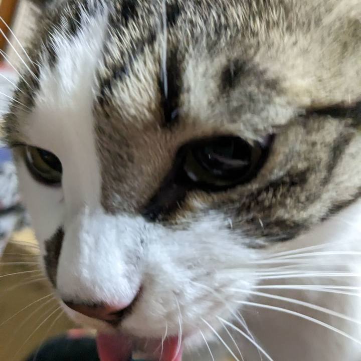 5620ac8b deaf 4228 be9a 79967db38546 1679485931914