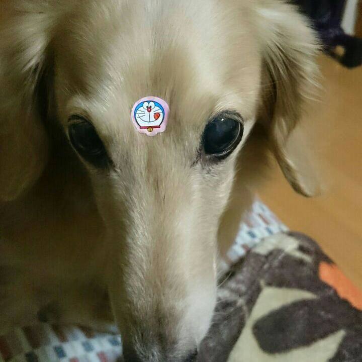 5620f13d d4b7 4fe1 82e4 2d57ac3a6803 1567602660105