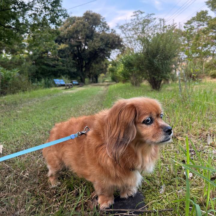 5621115f a03a 4e07 9f7d 8402dc641b01 1725570569550