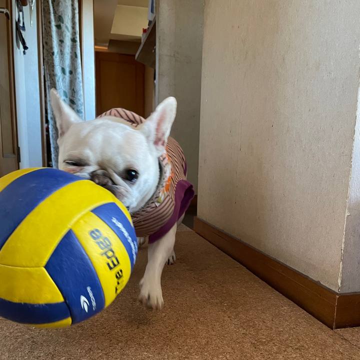 56211892 03a6 480d 8100 b97dad4ed8bf 1738983558124