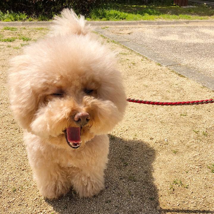 562142b2 921a 4e57 ac4c a88987a79b3a 1522030703525