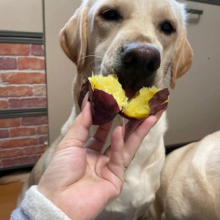 562147eb 7f69 48a2 930a e2ddda4631f4 1644977032582