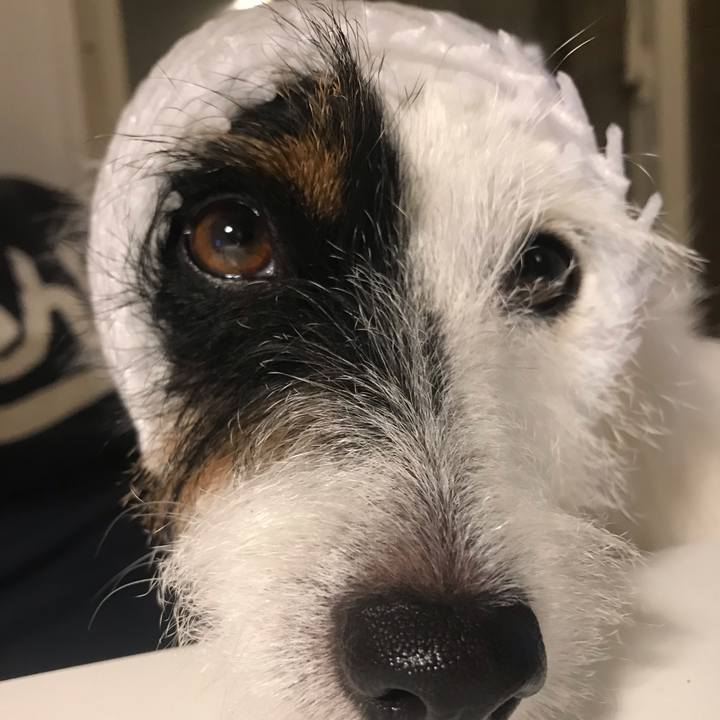 56215124 6ee1 43c8 b054 427f49e039d6 1538828672875