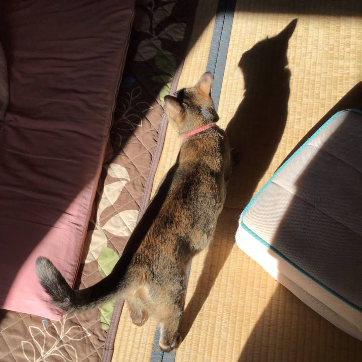 562164fb 4b3b 427a 9ecd 9a97a26ac667 1586147469789