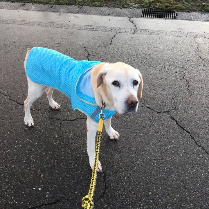 56217084 4ca8 4f5e 8207 d6d32ab155df 1545173087616