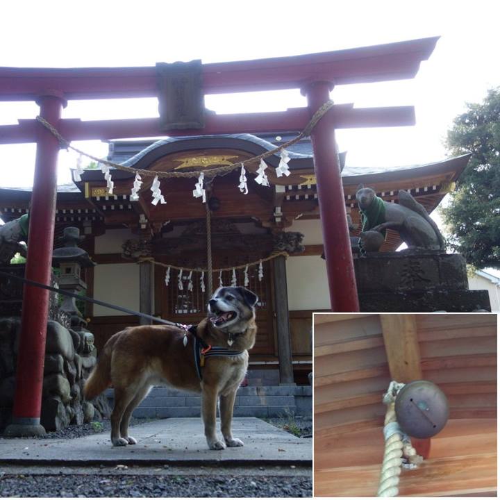 56217451 159c 4119 920d 61ea7c27594e 1557573713413