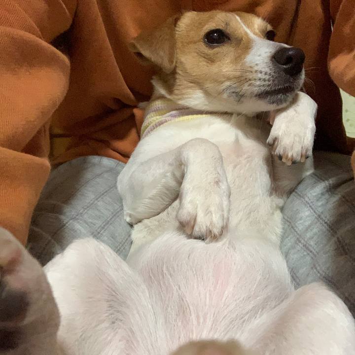 56217ac2 73ca 4741 923d 9821ee738579 1581425718233