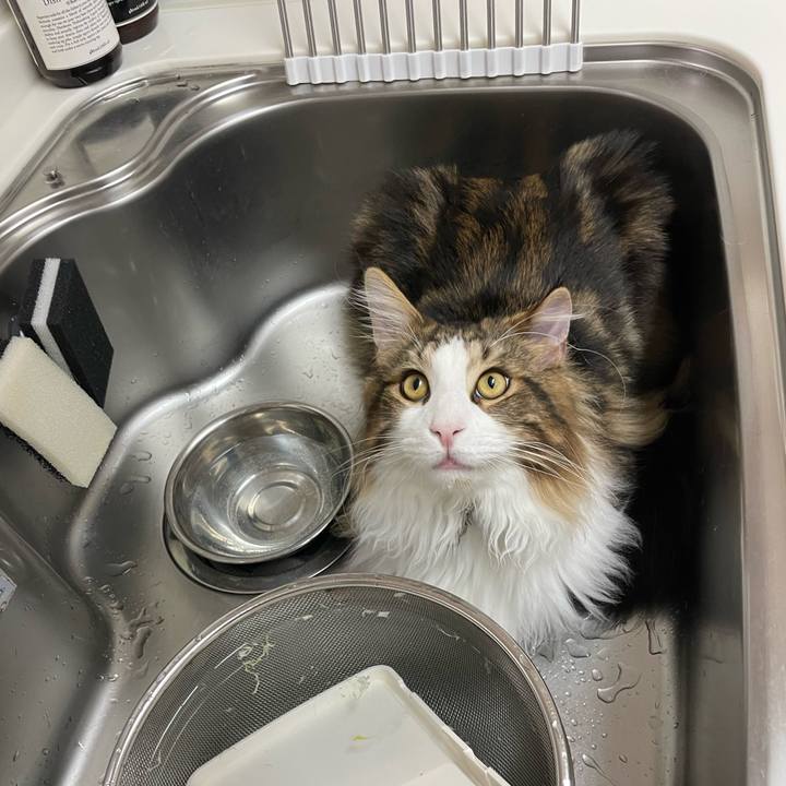 5621c397 ec47 46a2 96f1 22de7eeeac49 1643920769986