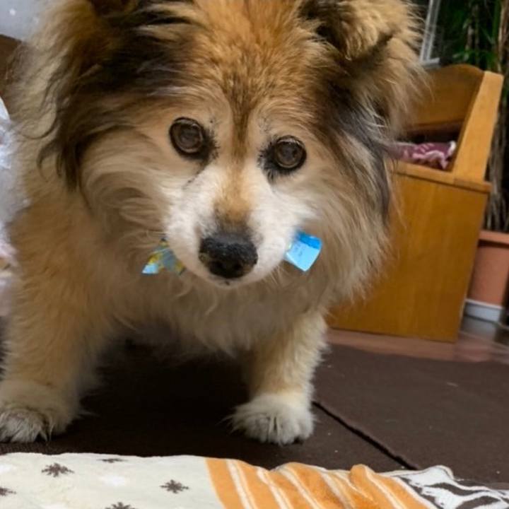 5621ca5d b64c 4598 9a8d 7de5f9982ab6 1635750455820