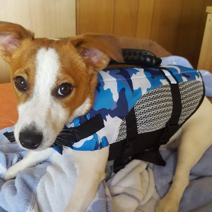 5621f77c d234 4372 a946 5e7779fe0258 1560220863963