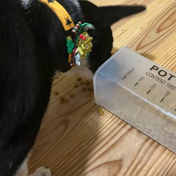 56220608 589b 4be4 b93c 7630a2becccc 1671112075584