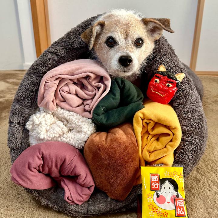 5622060c 08e8 4324 9927 5b0d831ba89b 1706952303786