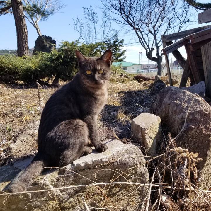 56221787 a39c 4044 a79a 745d476d1edd 1588235231843