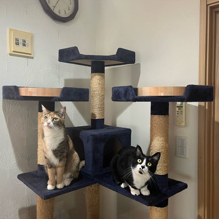 56223f07 0246 4177 85f6 8146421777ed 1727616965761