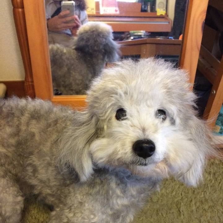 56224e2d 92ea 4e21 a314 3b64a5dbccb0 1515107719535