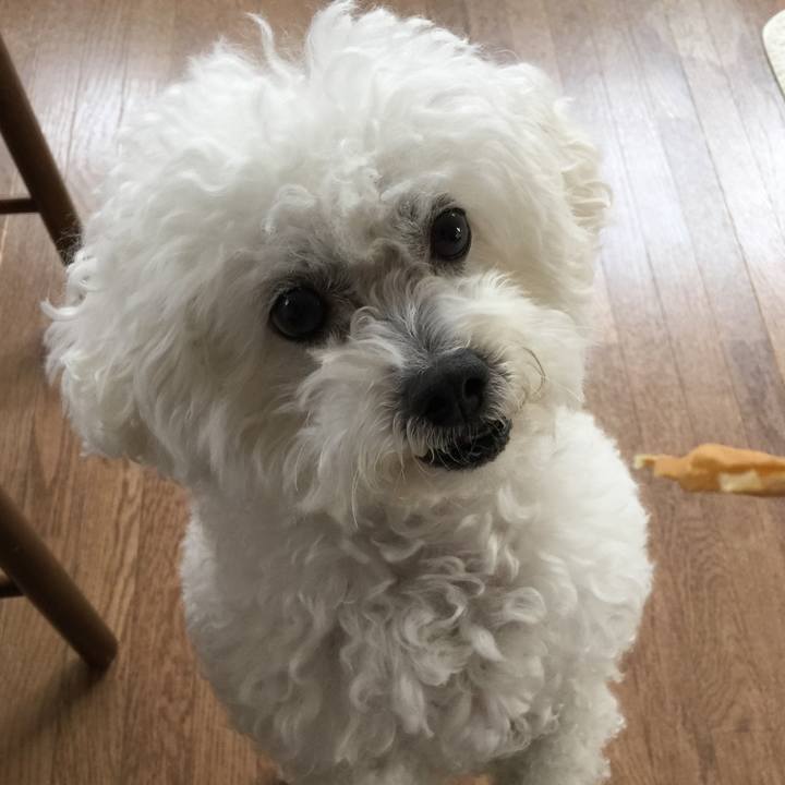 56227a5e c7e8 47b0 8ad2 3cd7595a7944 1543472297992