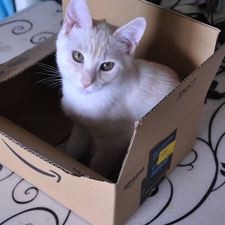 562290f3 765d 4ad9 8a17 7bbd1783062b 1628811682798