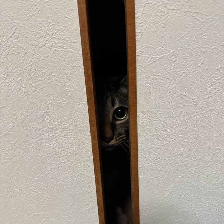 5622a290 8c1a 4b00 9f81 ebf72e26c71c 1772970608253