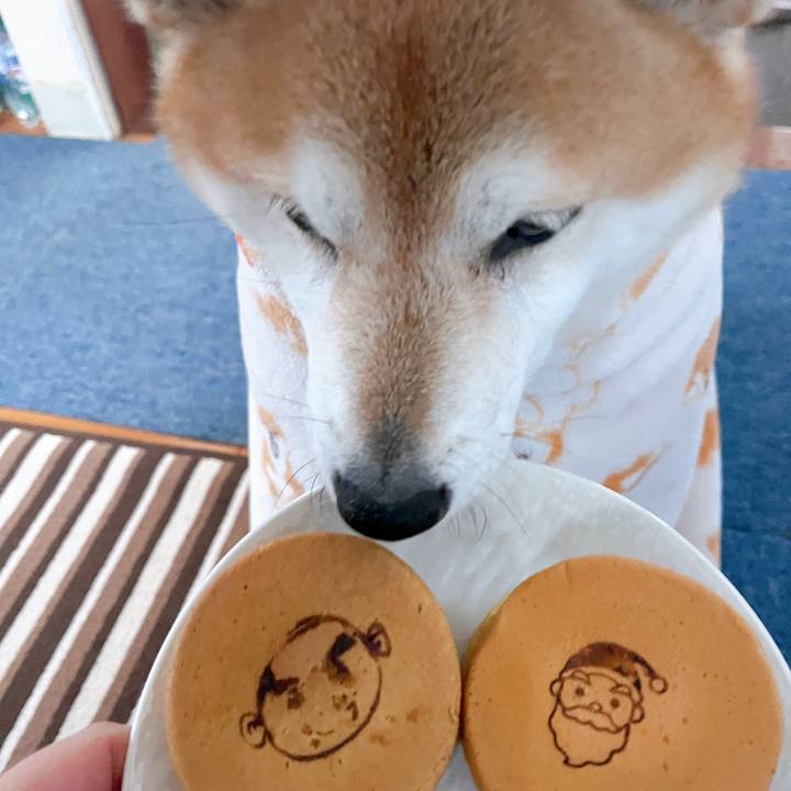 5622bbc6 b0d6 4726 be30 d17f9322bbe8 1701668856469