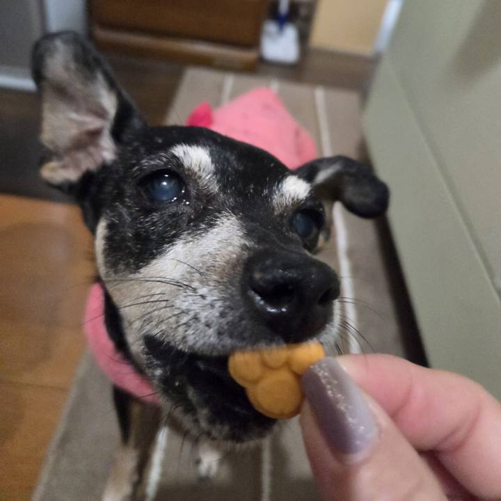 5622c200 bd9e 4b36 8adb dd09d29119e4 1768592963269