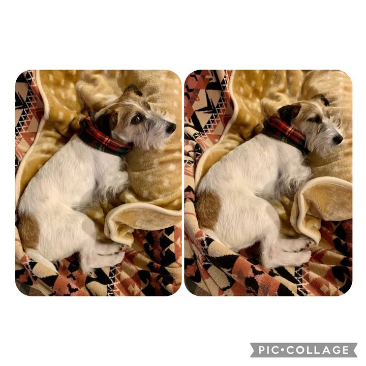 5622d993 9432 4f19 83bd b2ff0175123e 1677418238847