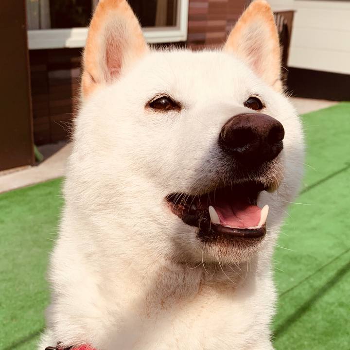 562310b0 25c2 413a ac9d 067ee30245e0 1588484875438