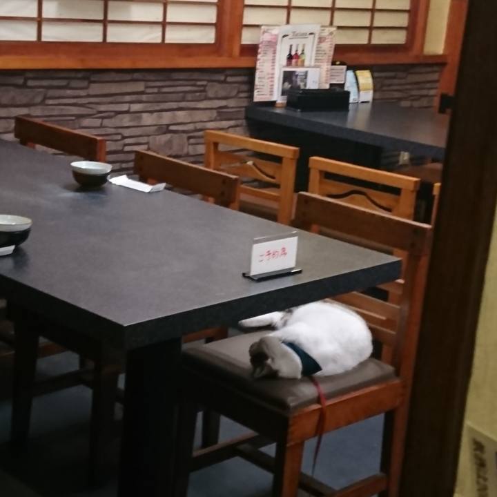 56233488 abf4 4d47 a051 794791318827 1566642671205