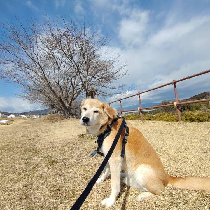 56233d09 df44 4f0b bce1 d5c89397fe47 1645688418284