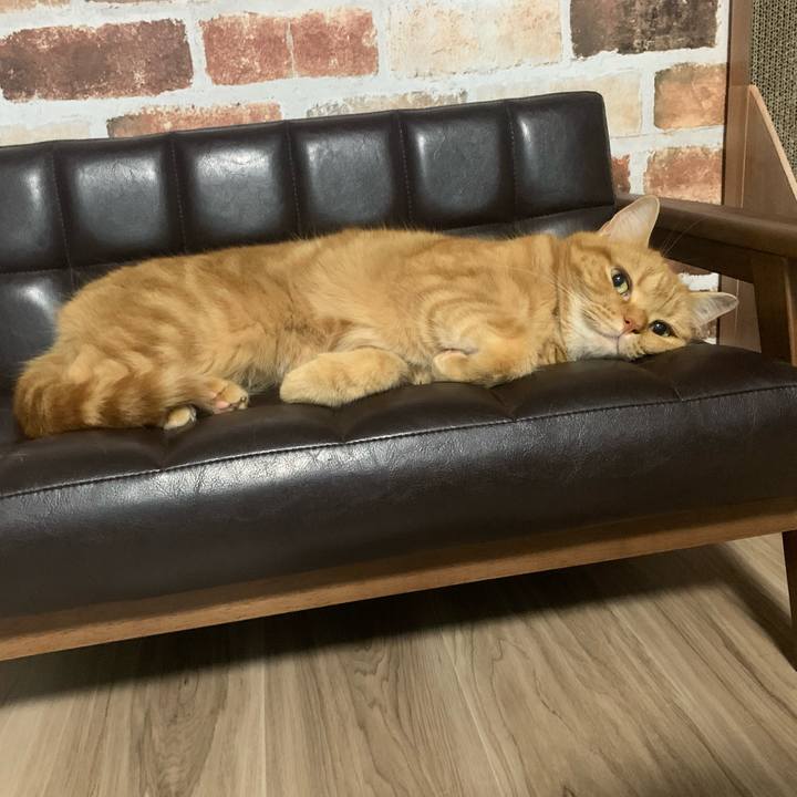 5623506c a050 4450 9cc7 74de37d4e5f0 1657112083558