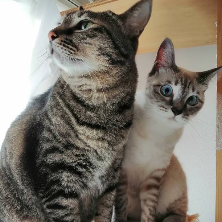 56235612 4690 4c07 9471 82fc10dc5c4e 1572007311993