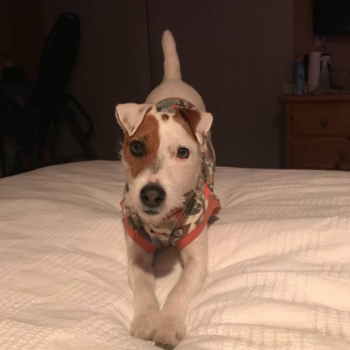 562368e6 ebdc 4f2f 841f 3c65b06c4176 1517112369735