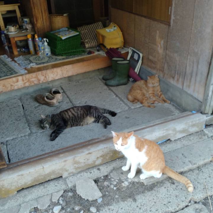 5623dc92 7d3d 4abd a4e9 f10bef4d70f5 1753178659639