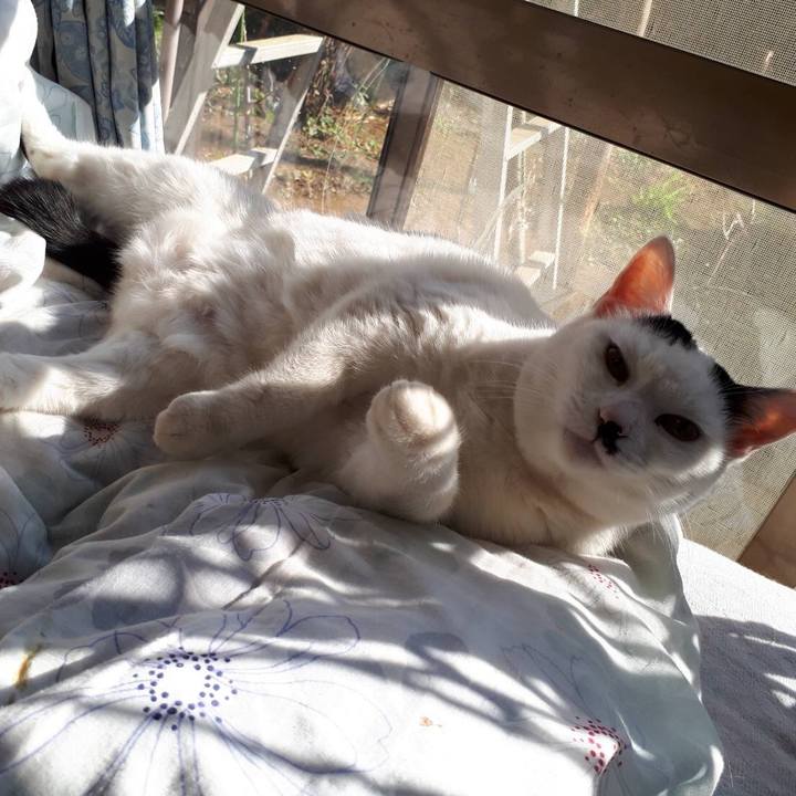 5623e471 bc2d 4680 90d1 f37f72667e4f 1548635187615