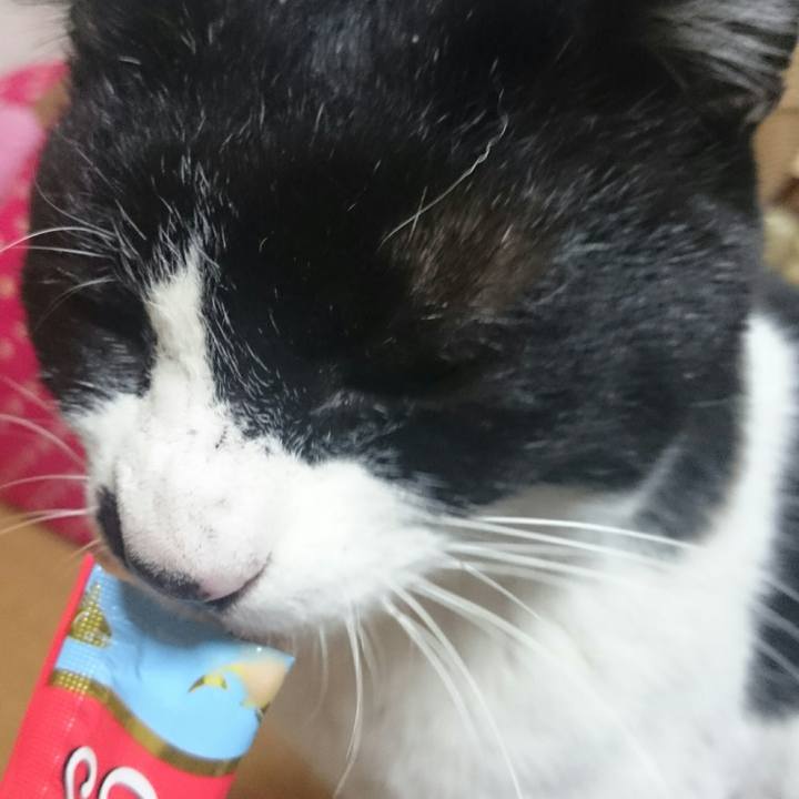 5623ed38 5811 4490 becc ef17eda518be 1515664947242