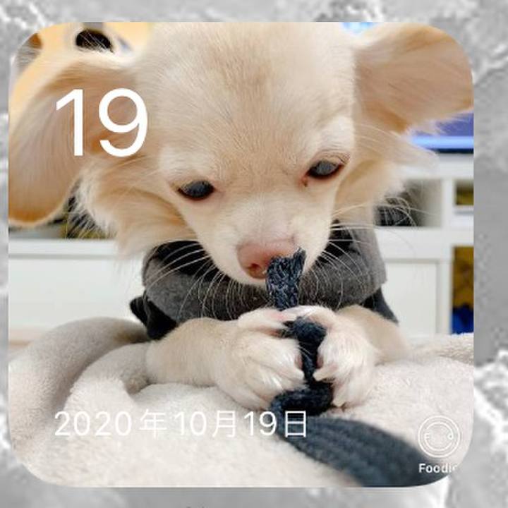 56240b85 8f17 450b 8836 ab69fe02be32 1634612652822