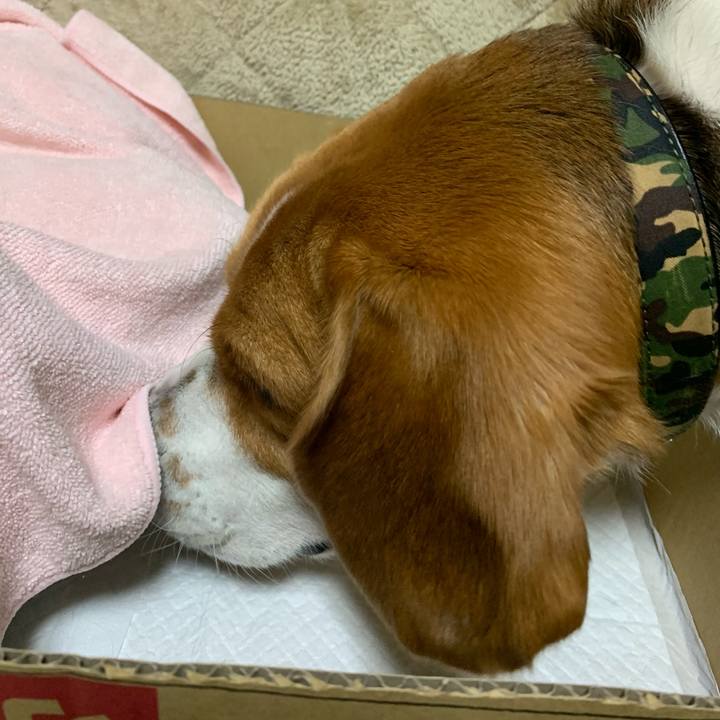 56240c95 9ee1 42ff aa19 692fd0afc81f 1587131944742