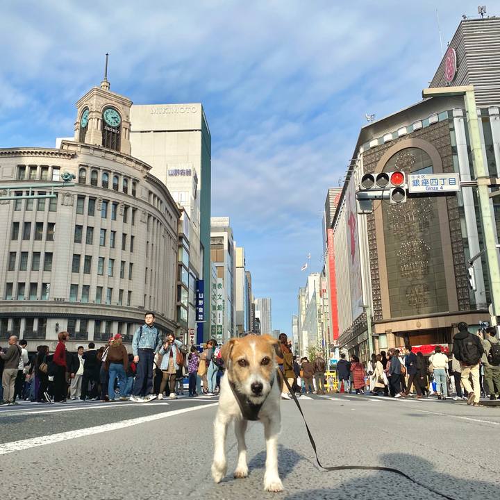 56241070 3821 4760 ab4c 6fef5f165029 1762765709502