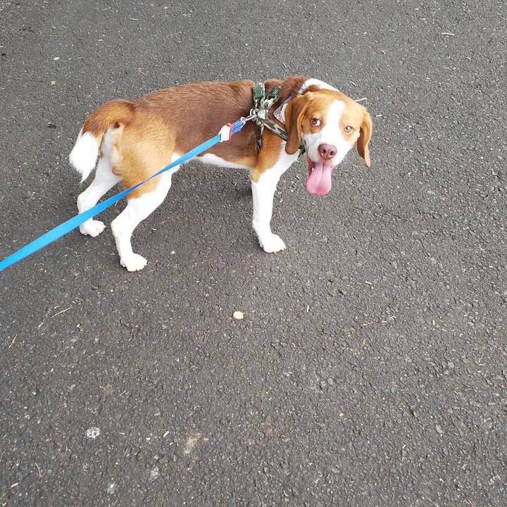 5624119b 6808 4053 ab4e ea3f59ee93f9 1567330212514