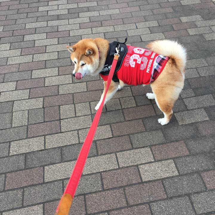 5624140c 6b3c 4a0d ab4f e814d8b0b25d 1606610846137