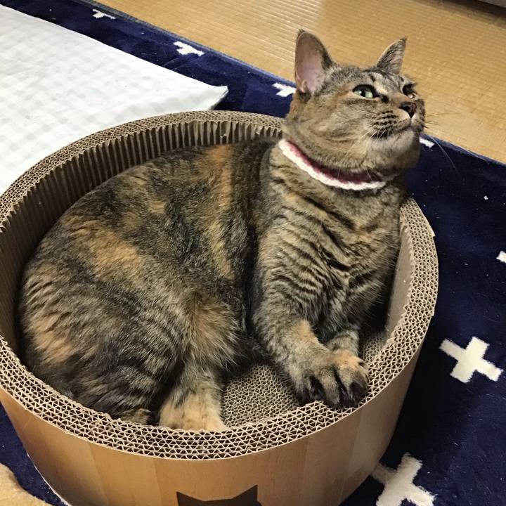 5624294f 33c6 4ce4 a63a 39313ddf0b87 1713252215484